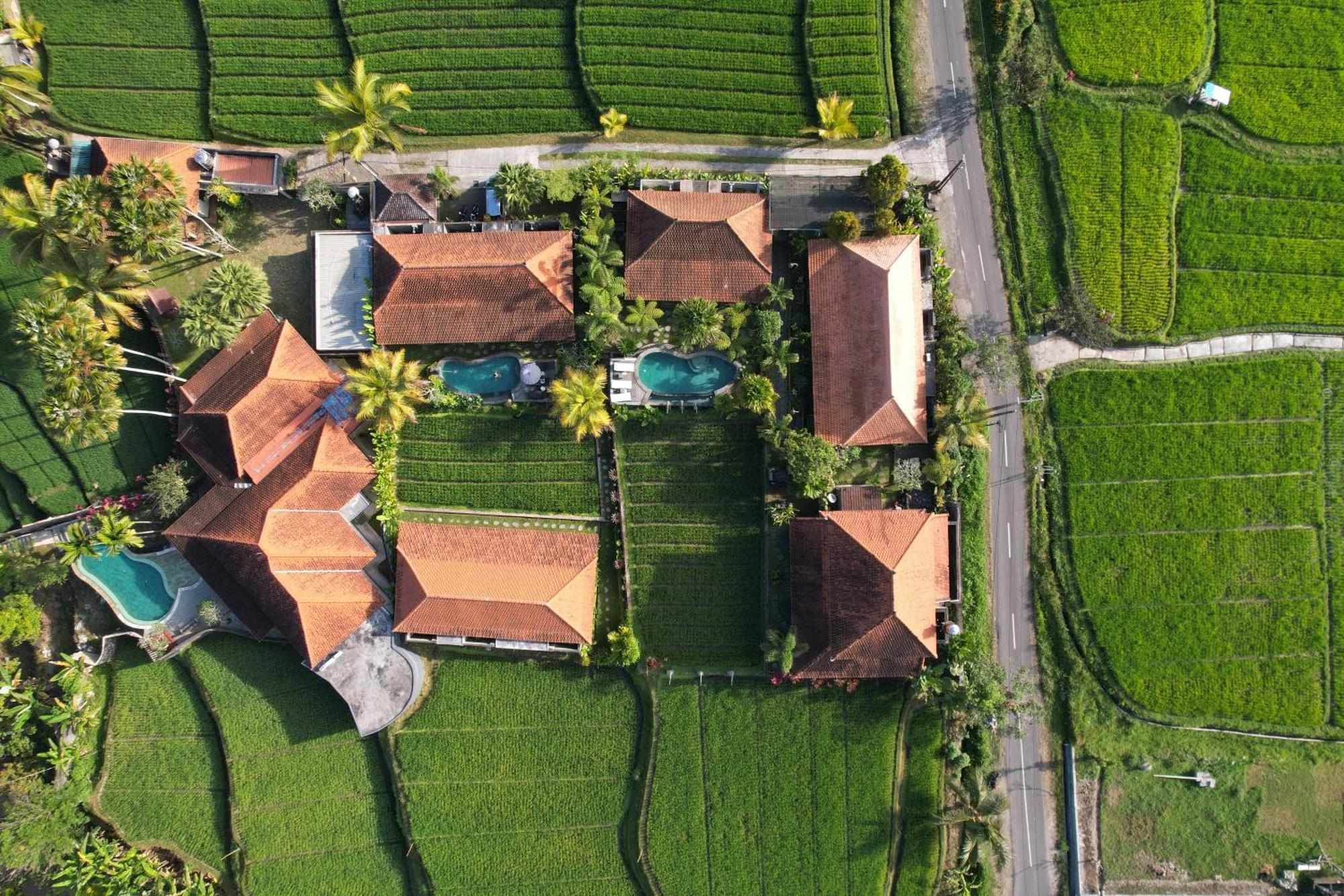 Umakelod Sebatu Villas Ubud  Exterior photo